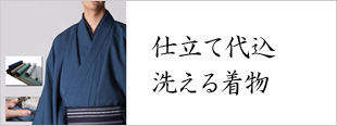 ä»ç«ã¦ä»£è¾¼ã®æ´ããçç©